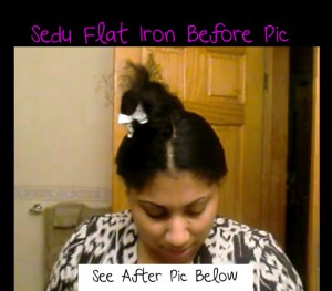 Sedu Flat Iron Review Before Pic